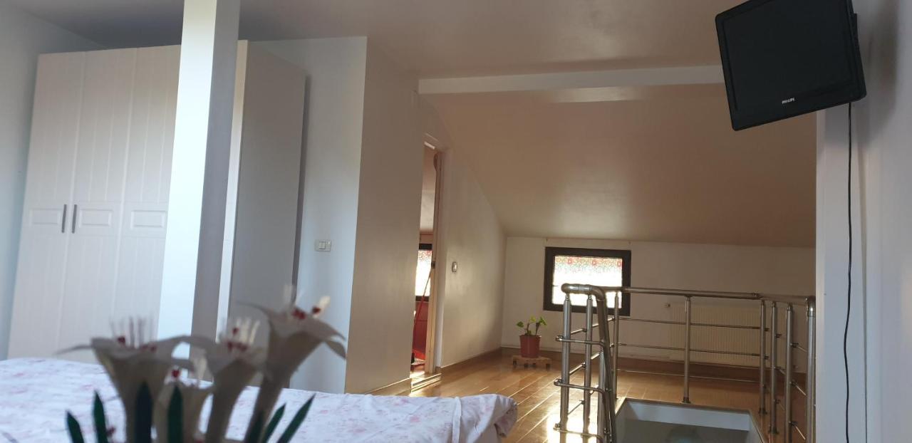 Vila Roxy Poiana Brasov Buitenkant foto